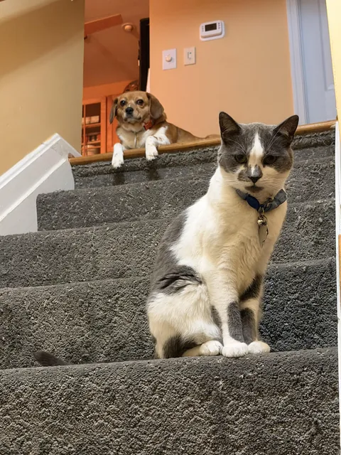 These two about to drop the most fire album 🔥