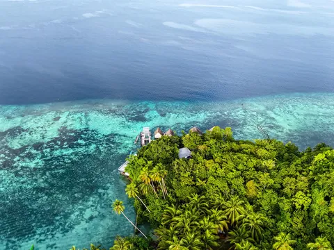 I returned to New Guinea, to a very remote atoll for a month long trip, living off the ocean.