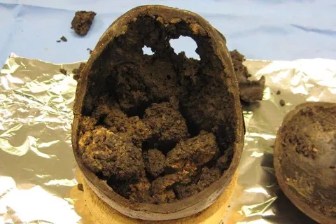 The 2,600-year-old "Heslington Brain" – A biological anomaly found inside a severed Iron Age skull in Yorkshire, UK.