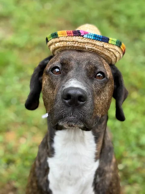 My mommy says I’m a very pretty girl