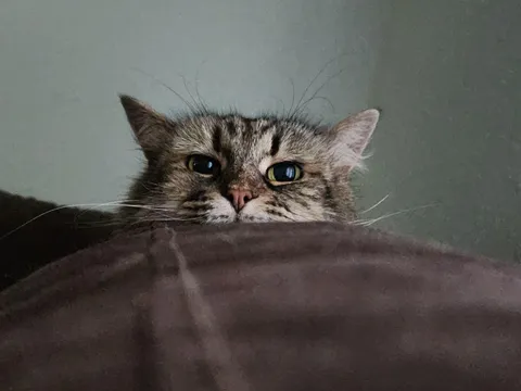 Shes been keeping a close eye on me for 12 years. 👀💝