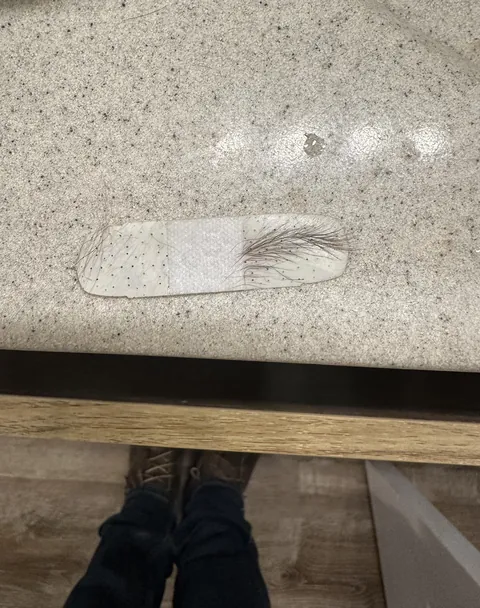 Note to self; if your toddler puts a bandaid on her eyebrow, let mom take it off.