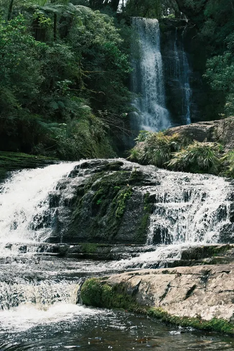 First days in New Zealand: The Catlins