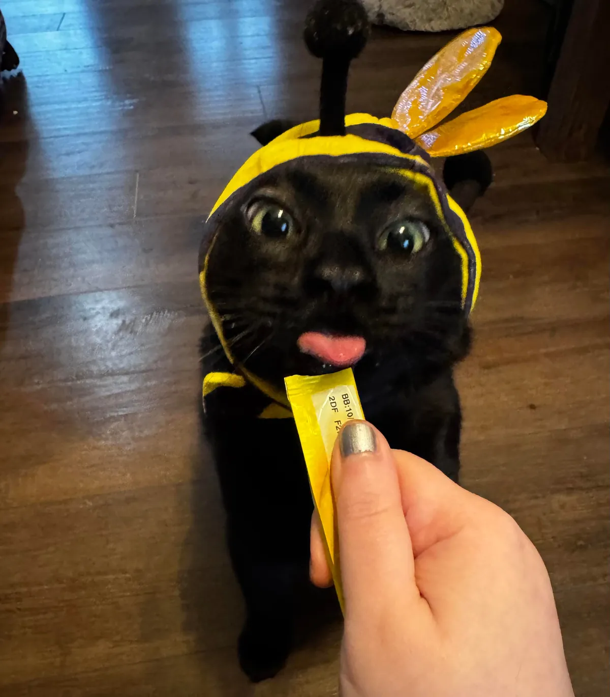 Tubs can’t BEElive it’s already Halloween