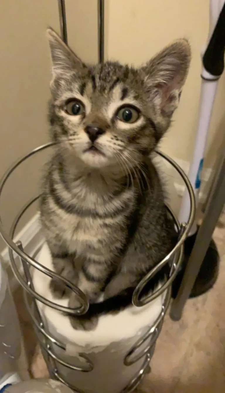 I, too, have had an unauthorized plumber!