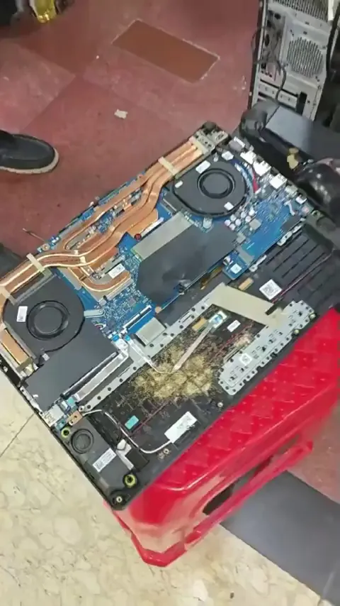 The laptop owner wondered why there were occasionally ants on her screen.