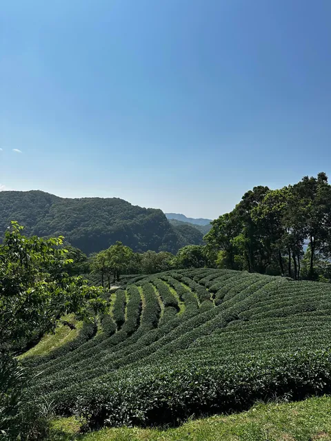 Taiwan blew us away- one of the most underrated hidden gem