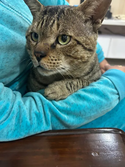 My uncle said he’s ugly 