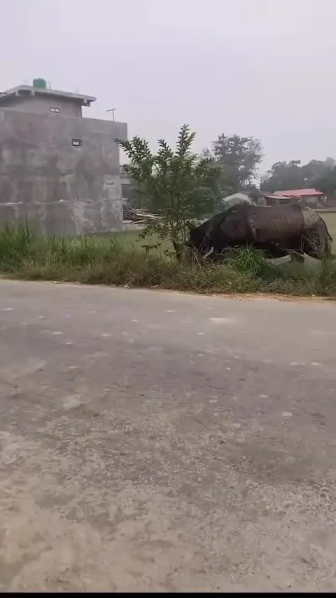 Rhino goes Berserk at a village in india