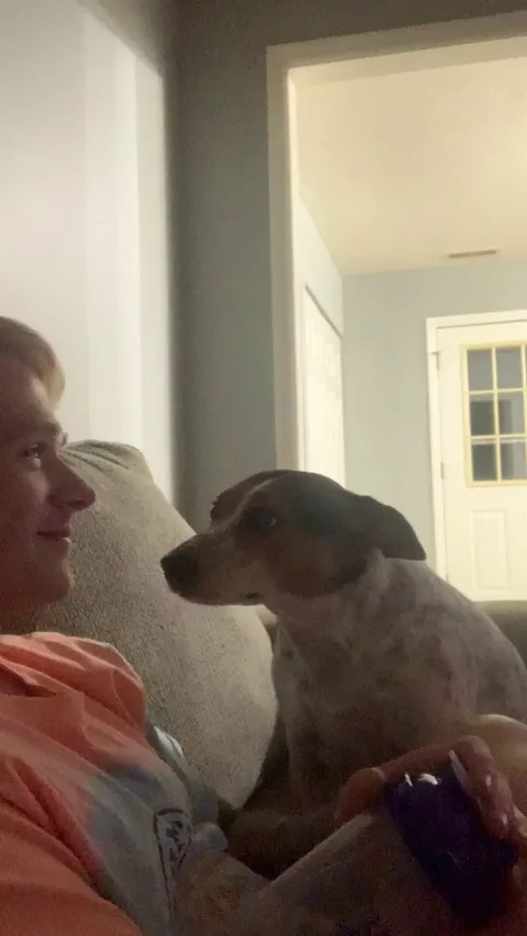 Nacho frequently stares at my boyfriend for LITERAL minutes on end for no reason