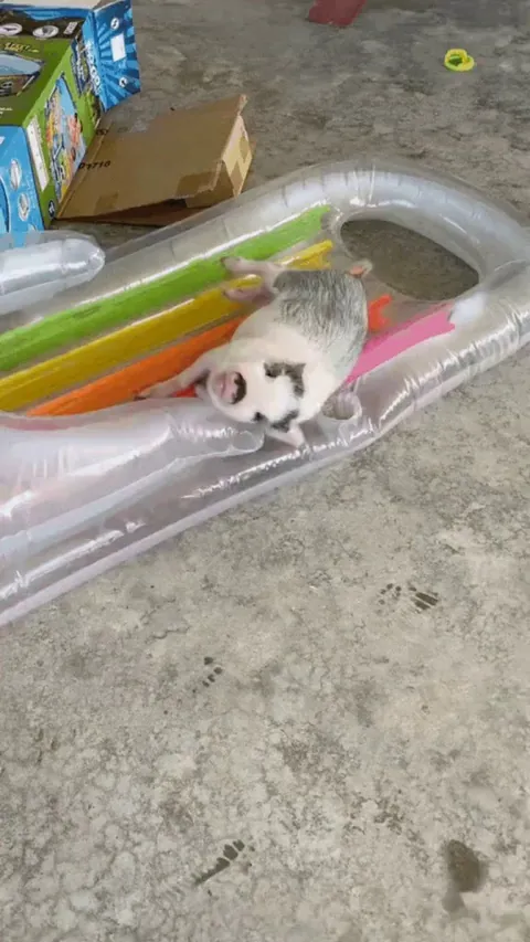 Mom! He's hogging the floaty pool toy again!