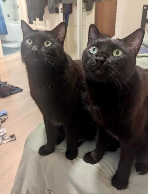 I love my boys more than anything in the world