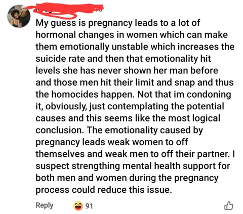 A comment left on an article about men murdering their pregnant partners