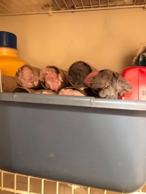 Does anyone else save the dryer lint in old paper towel tubes? They make really good firestarters. And you never know when you're gonna need to start a good fire.