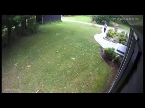 Ithaca, NY: Woman fighting off fox who refused to retreat. She was treated and is ok…