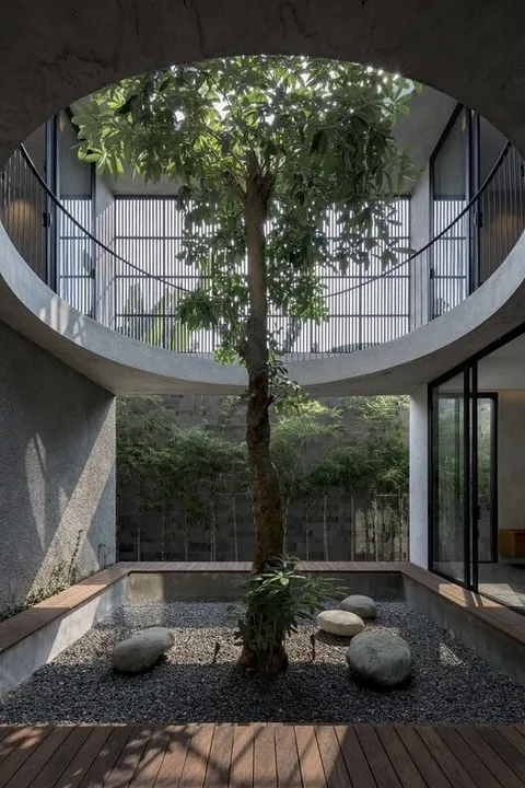 Practical implications of trees growing through a building?