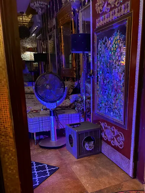 My lounge with my best buds 💕