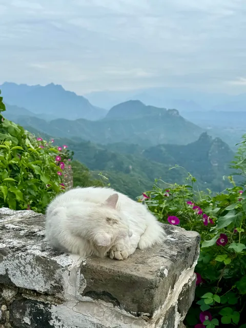 Three weeks in China