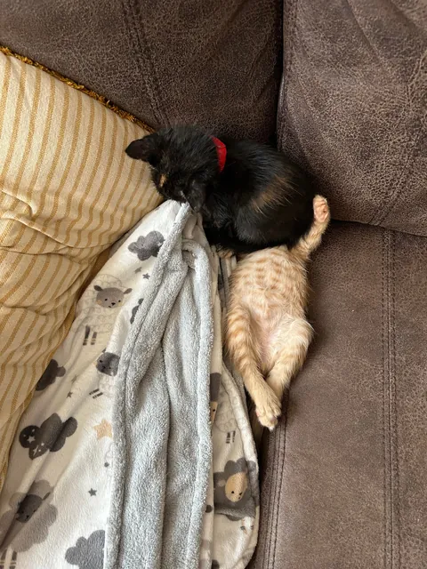 It’s always something