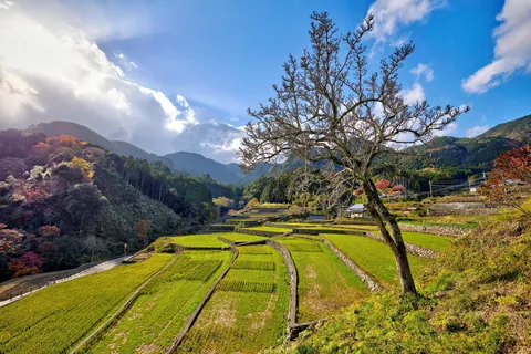 Fall colors in Japan