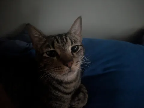 My bubba passed away suddenly.