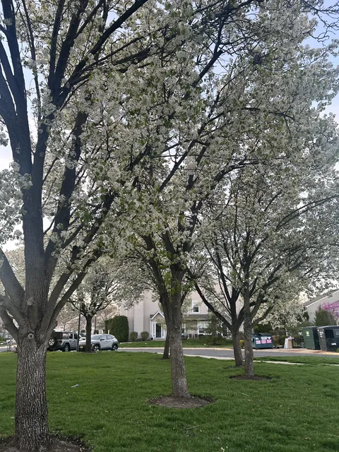 My neighborhood smells like a porn set.