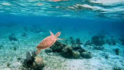 Short but sweet trip to Belize