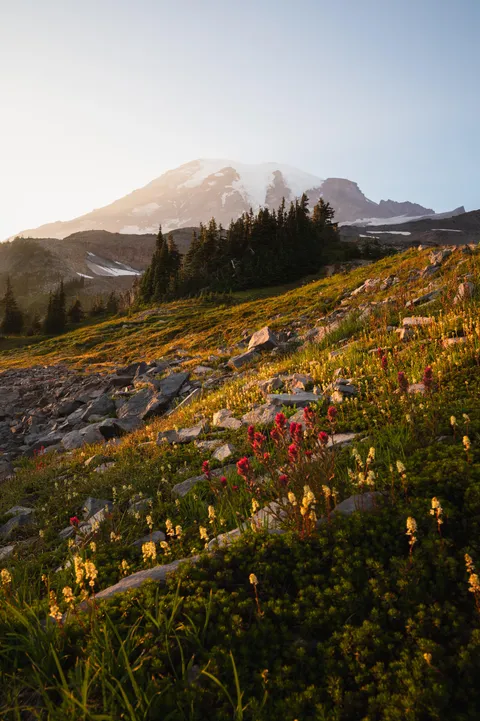Golden hour at Mt Rainier [3968 x 5964][OC]