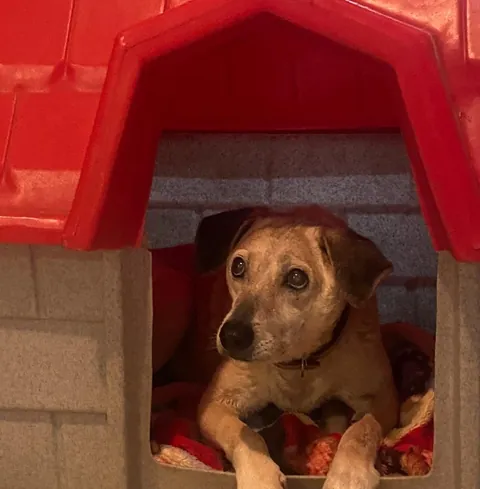 No matter how many years pass. You are still my baby, I will always take care of you ❤️