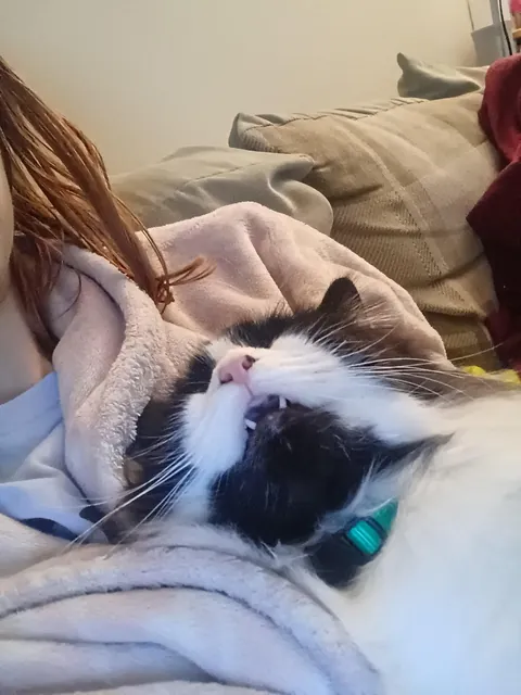 She might have a favourite sleeping position