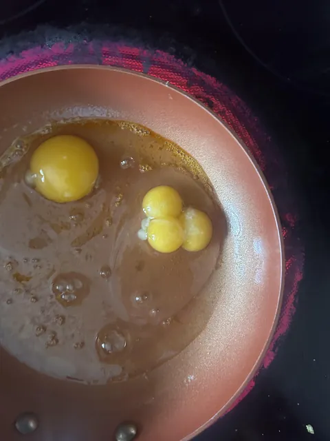 Found a triple yolk this morning (1 in 25,000,000)