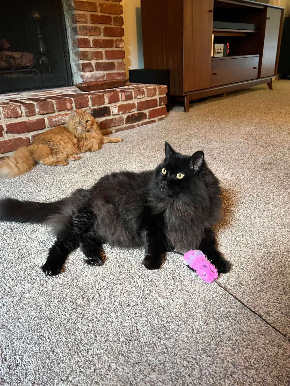 From gotcha to goodbye