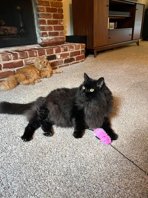 From gotcha to goodbye