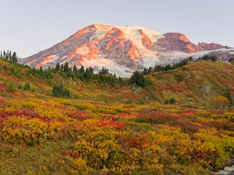 Full on Autumn show @ Paradise, Mount Rainier this morning (10/7/2024). [OC][5183x3888]