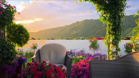 My little garden in New Zealand