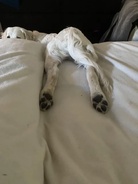 Possibly didn’t think this through..