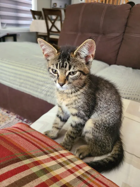 Accidentally woke her up from her nap.. Sorry! 