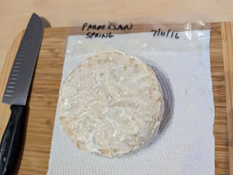 [Homemade] 10 Year Old Parmesan Cheese