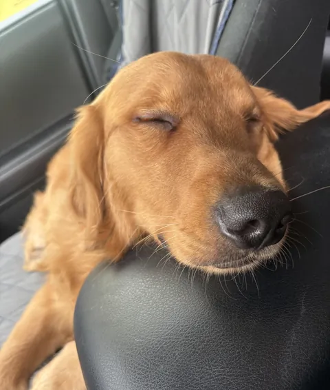 Shhhh. He’s sleeping.