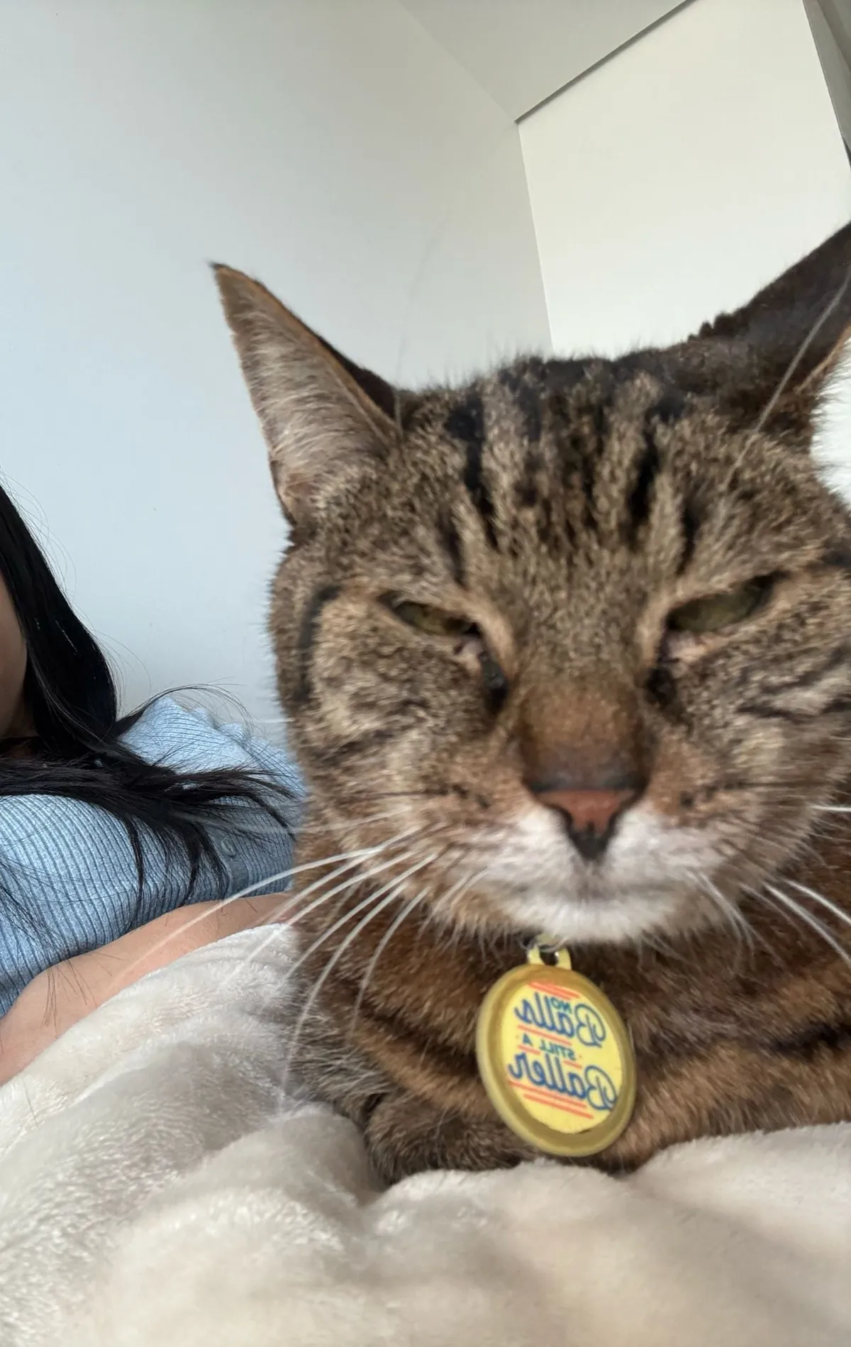 4 years after adoption... HE FINALLY SAT ON MY LAP AHHHH 🥹