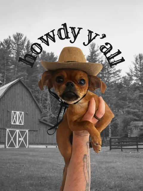 Folks call him DA BOY round these parts, his legal name is Mo