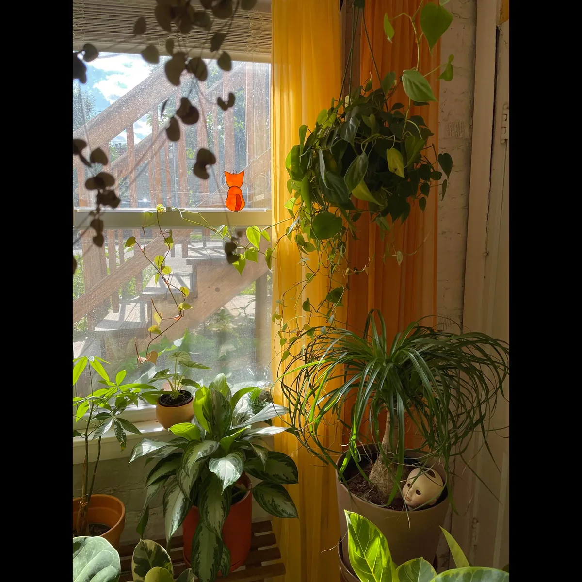 Finally finished decorating my cozy garden unit in Chicago, IL!