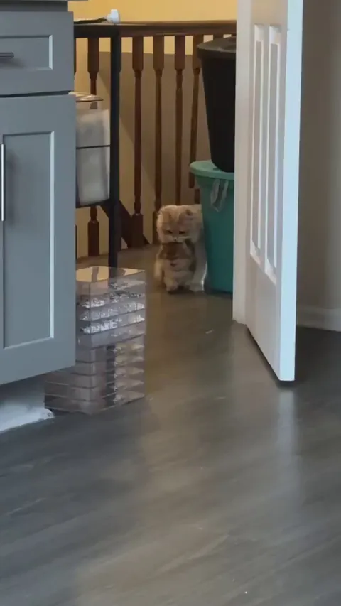 The universal reaction to being forced to socialize by your mother