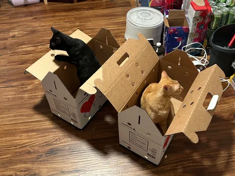 The posts on this sub led to this: