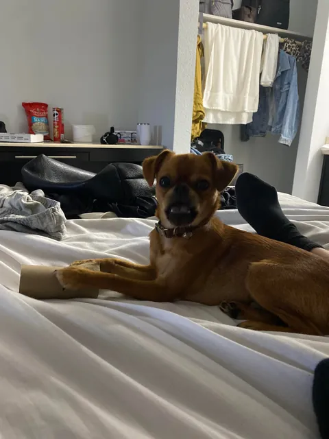 Folks call him DA BOY round these parts, his legal name is Mo