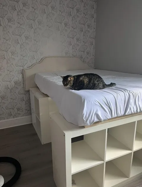 Built a storage bed with thrifted shelves