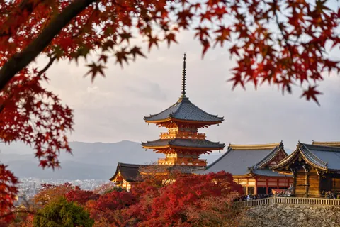 Japan in Late November