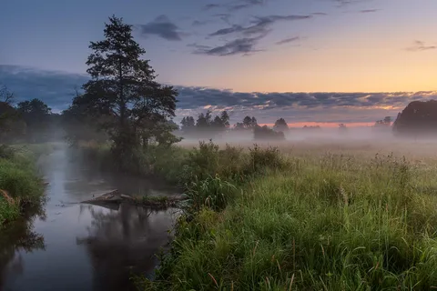 Rawka river, Poland [OC][1600x1067]
