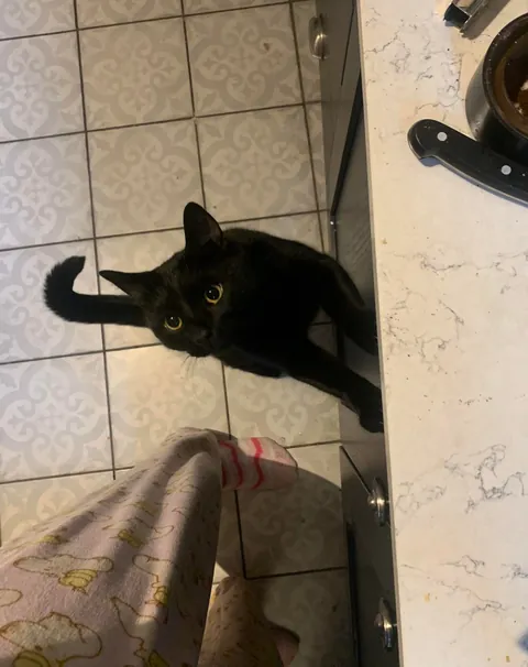 He does this every time I'm cooking