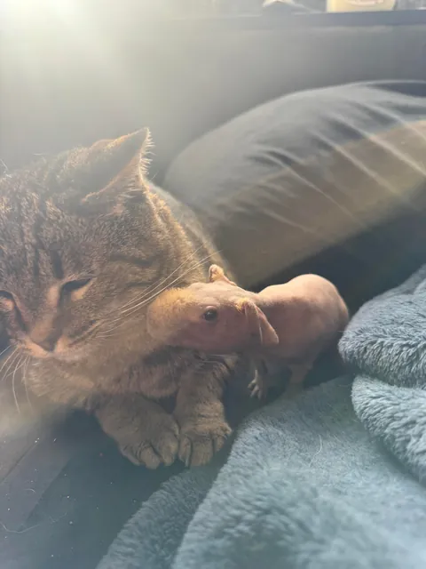 Edgar and his new baby